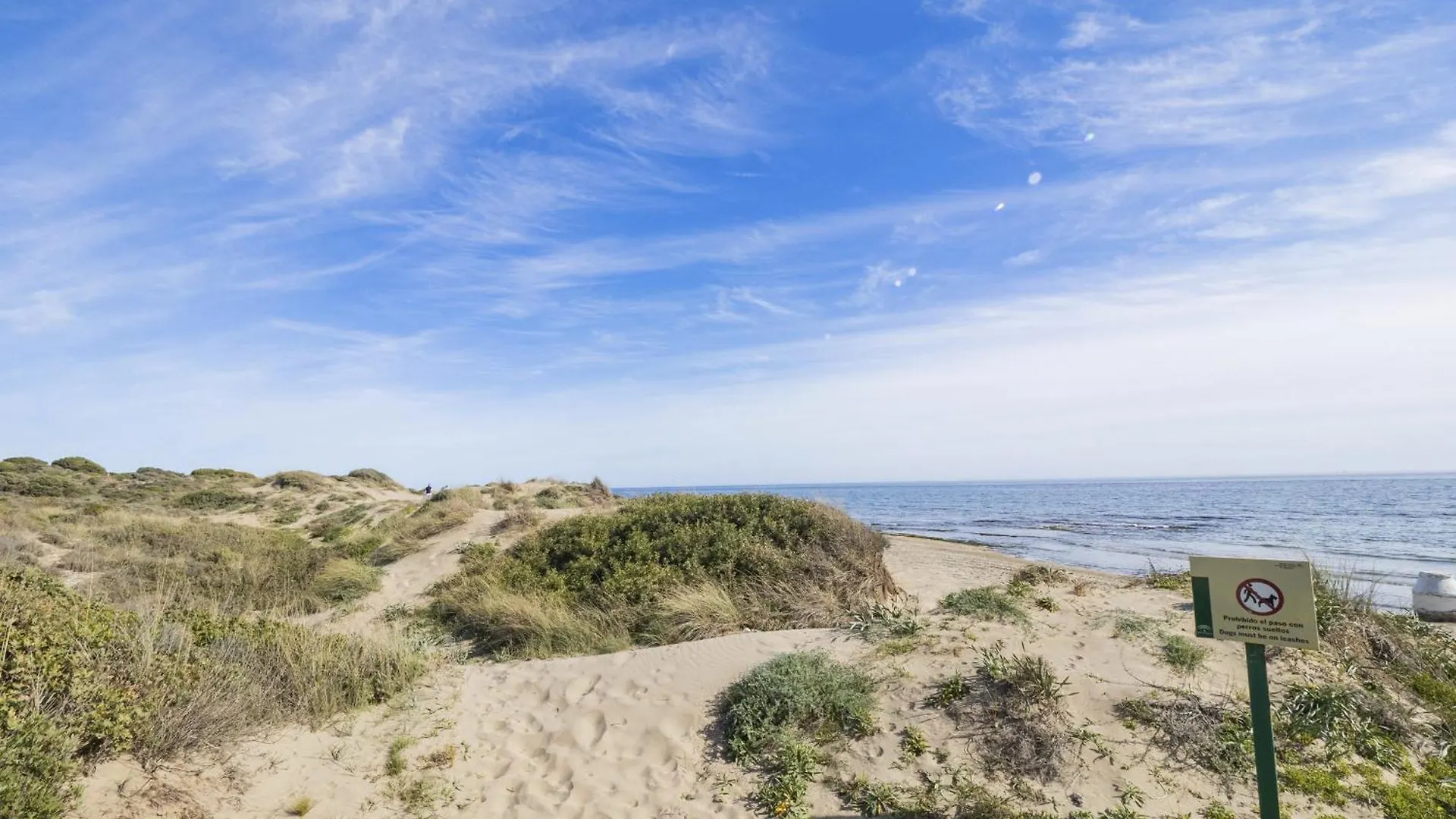 Cubo'S Cabopino Beach Marbella Apartment Spain
